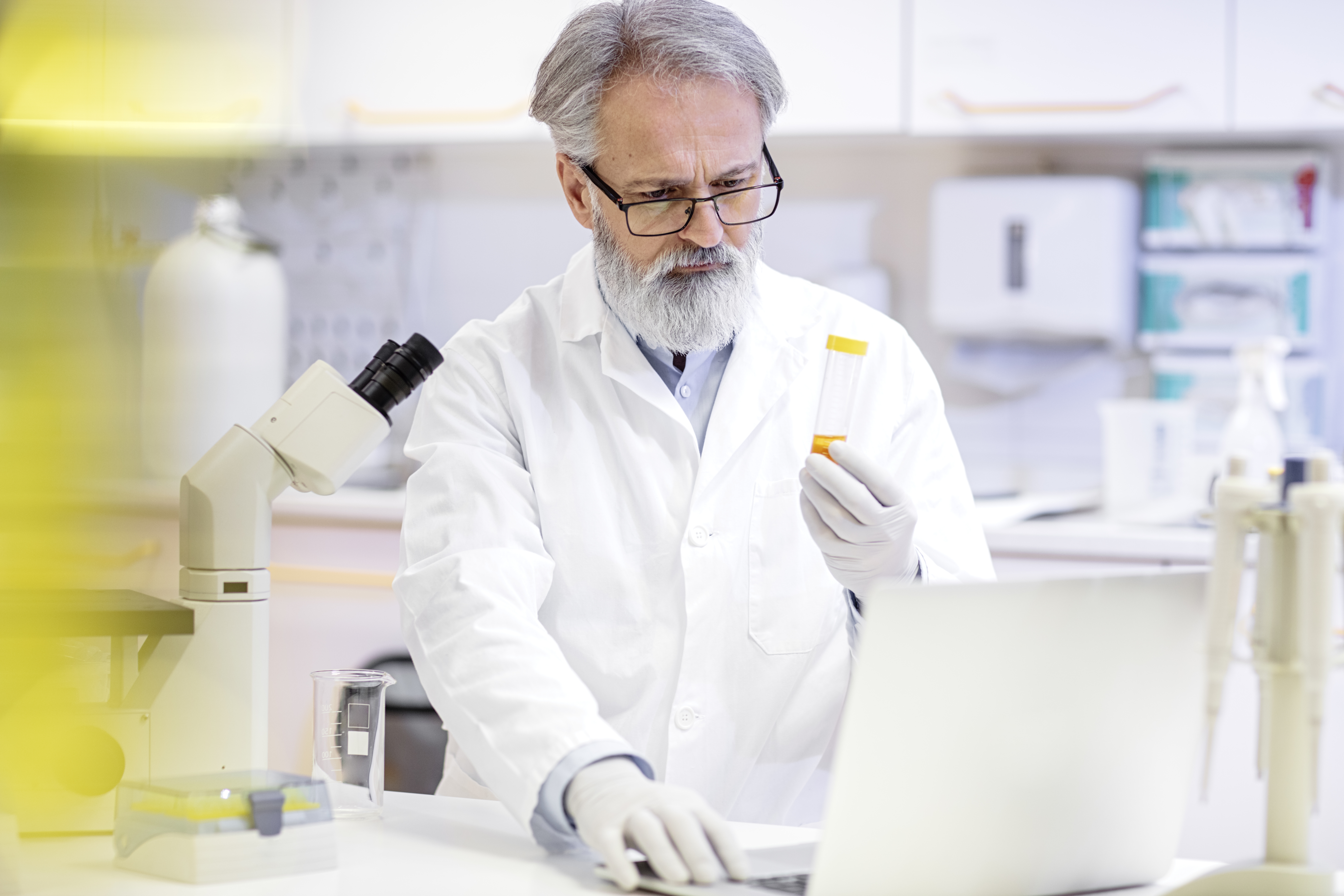 Senior scientists Working on Computer in Modern Laboratory